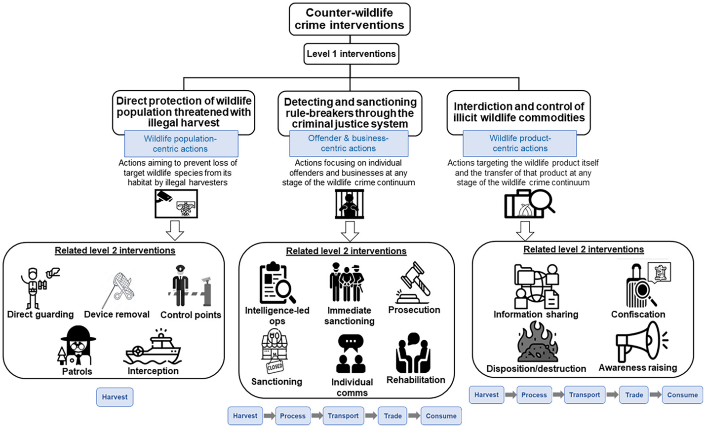 Counter-wildlife crime interventions map